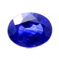 Blue Sapphire - 1016056