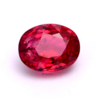 Red Spinel - 1015531