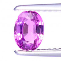 Pink Sapphire - 1015804