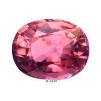 Pink Tourmaline - 1015819