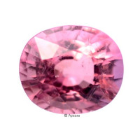 Pink Tourmaline - 1015825
