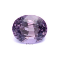 Purple Spinel - 1187046