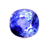 Unheated Blue Sapphire - 1237119